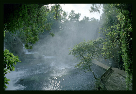 Утренняя идиллия