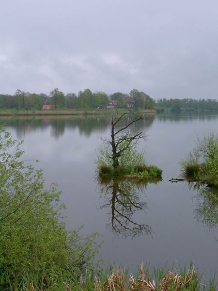 Отшельник