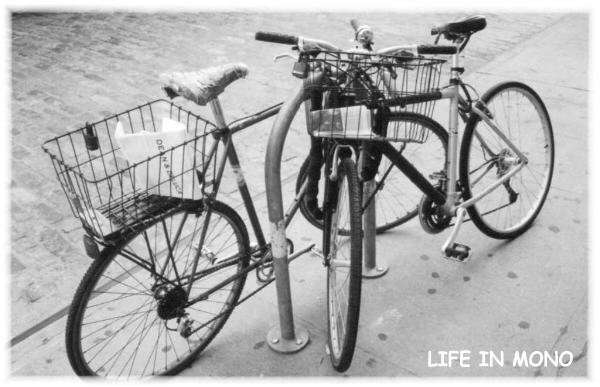 LIFE IN MONO(zizn v mono)