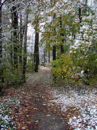 Уже снег! / Что там, в глубине...?