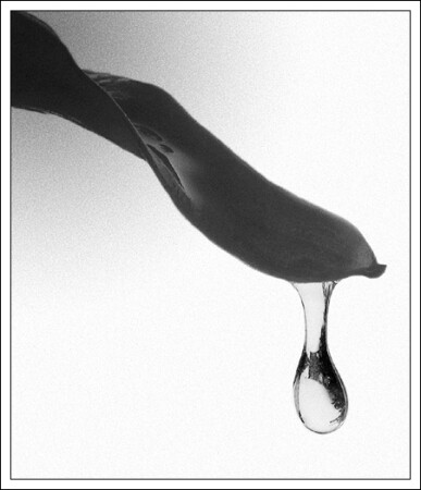 Затянувшееся прощание