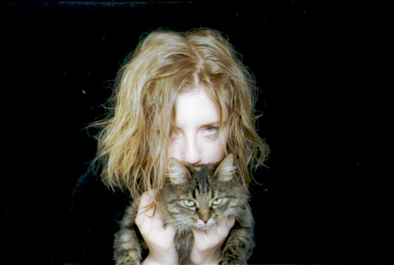 Cats