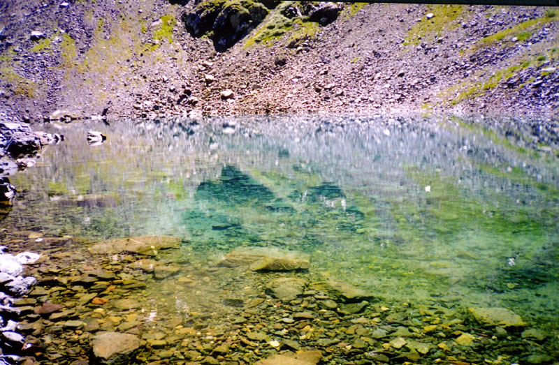 В подводном царстве