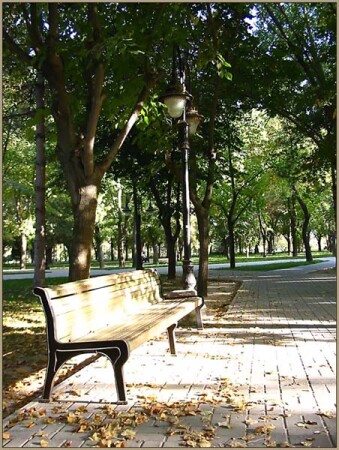 Осень в Ташкенте.