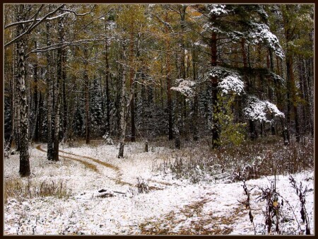 Первый снег