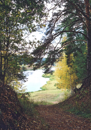 Тропинка к реке