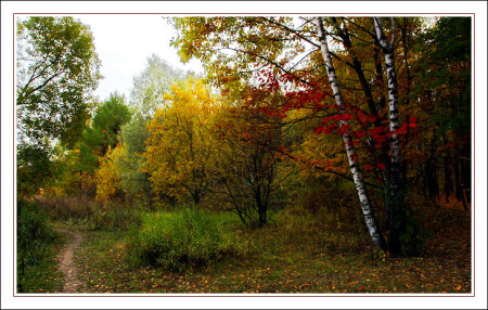 Русское