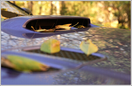 Осень с SUBARU