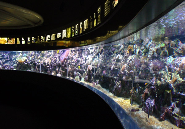Aquarium