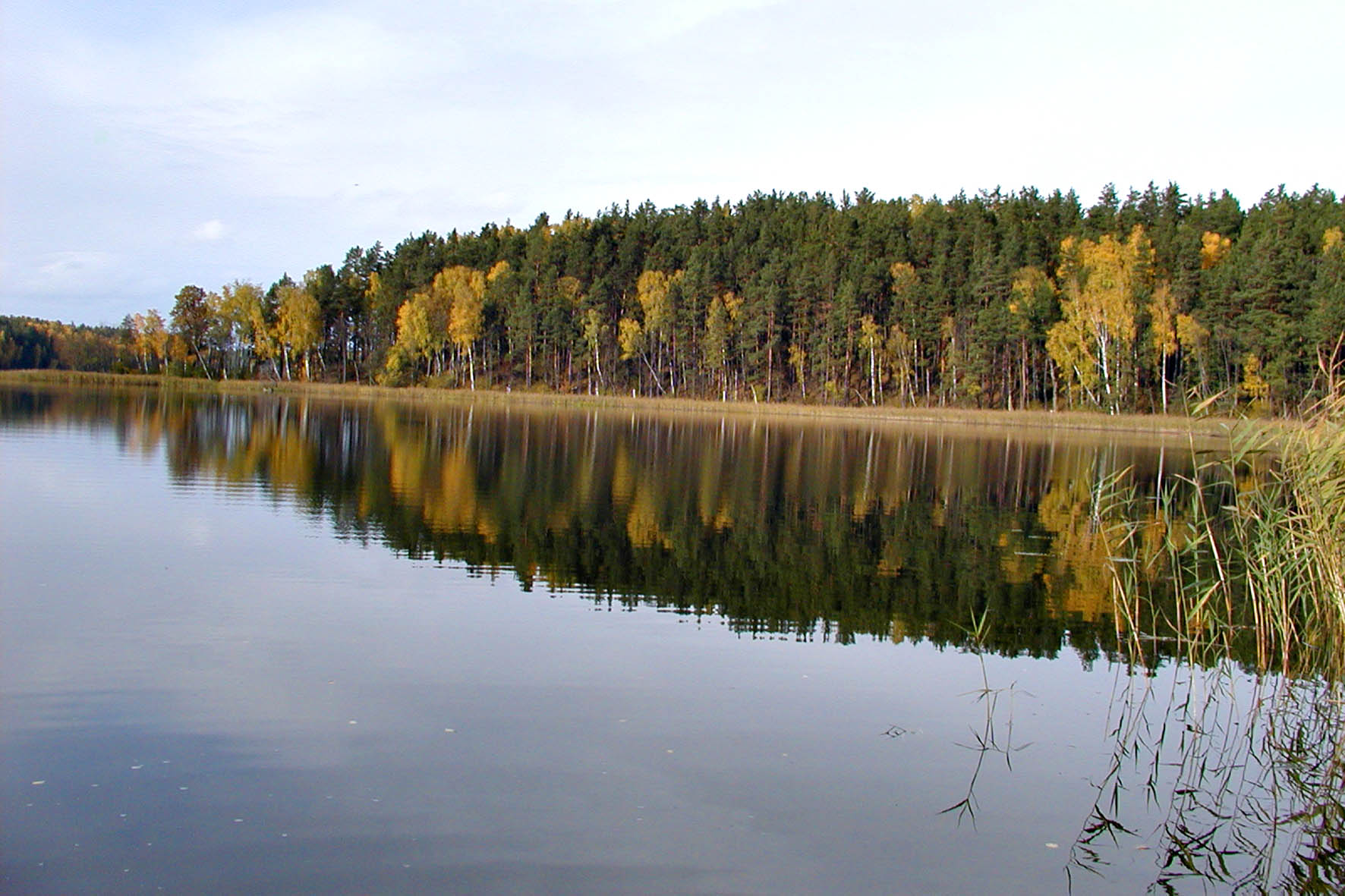 Осень на озере