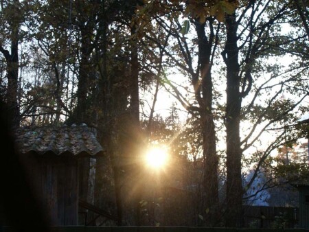 Холодное солнце осени