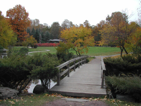 Японский сад 1