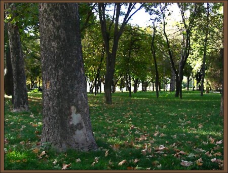 Осень в Ташкенте 2