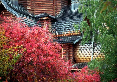 Желтый, красный, зеленый и мокрый асфальт