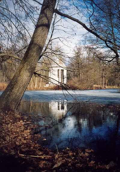 В парке с прудом.