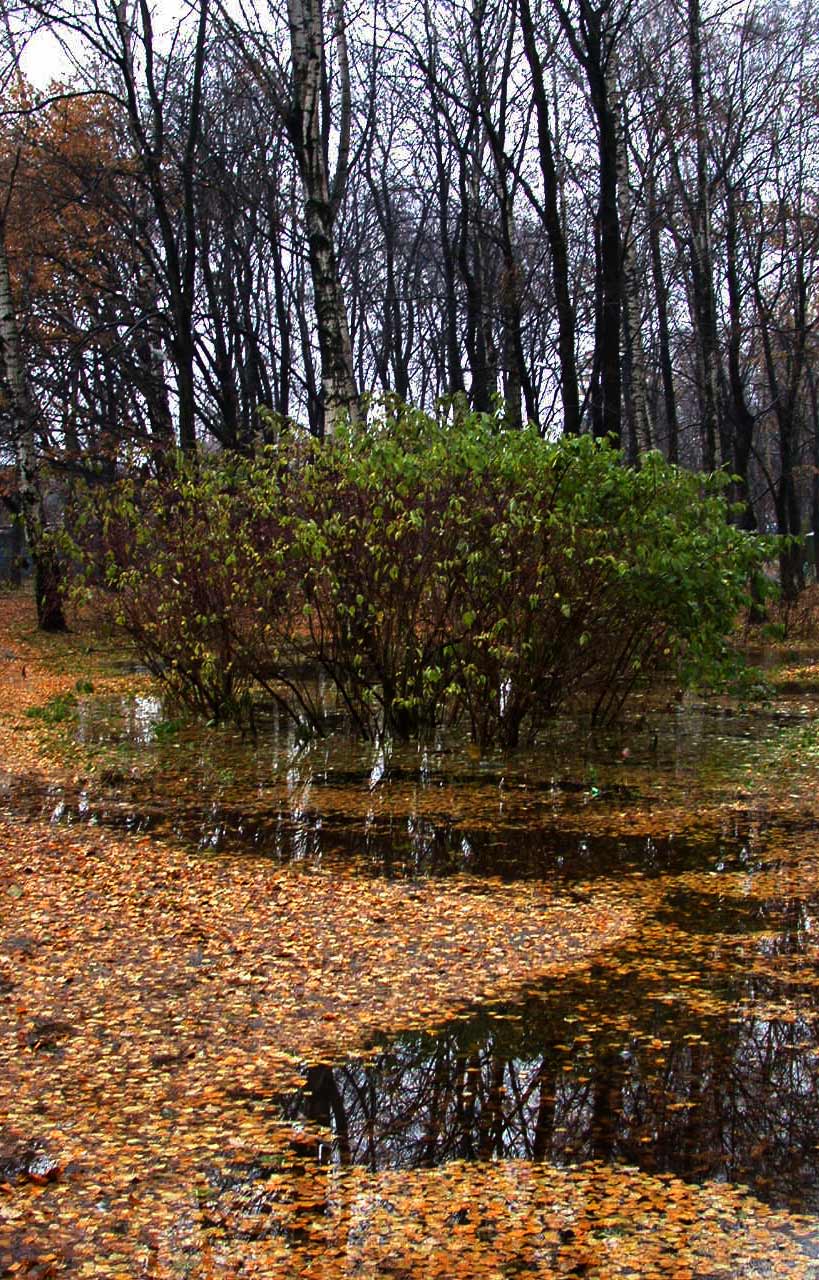 Все, что осталось от лета