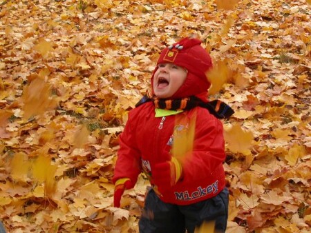 Осенняя радость