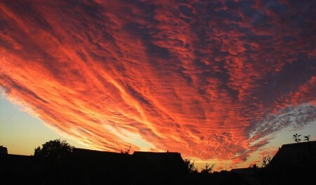 ЯЗЫК (рассветы и закаты).