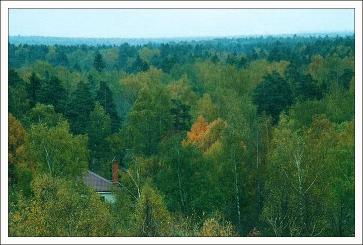 Отшельник
