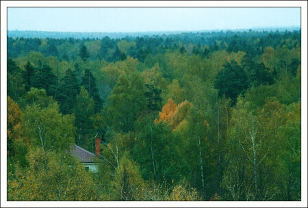 Отшельник