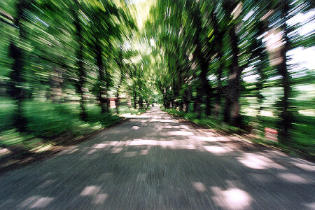 Жажда скорости