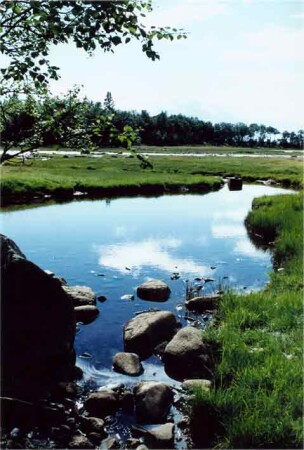 Уголок России