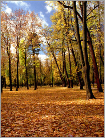 Пейзаж *****