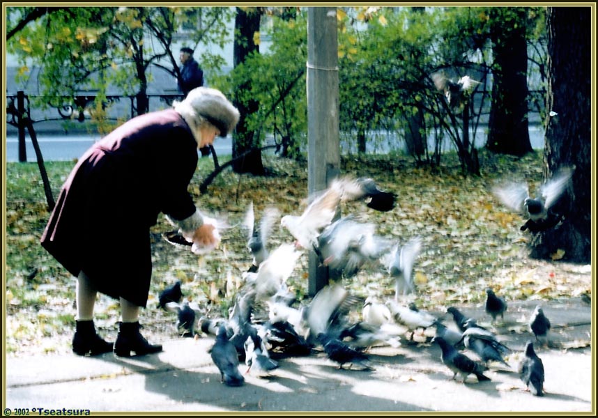 Сытый голодному - не товарищ
