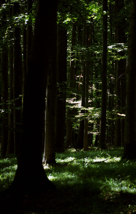 2002