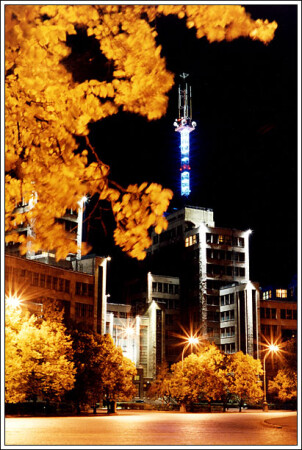 Fall In Kharkov