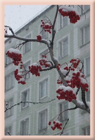 Белое на красном