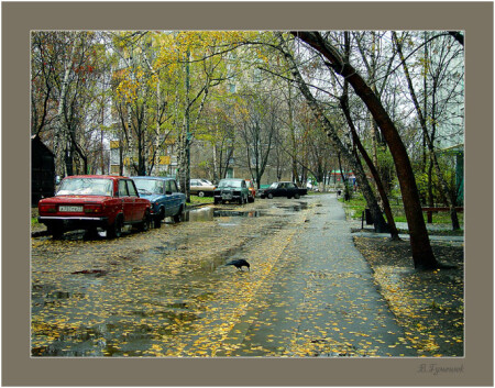ОСЕНЬ ВО ДВОРЕ МОЕГО ДОМА