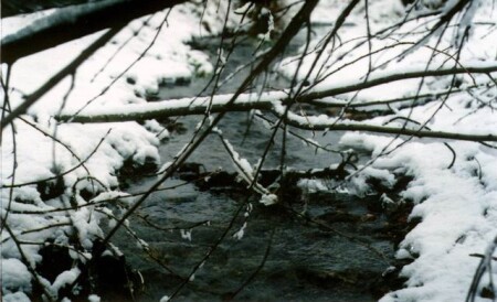 Ноябрьский ручей