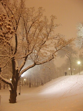 Первый снег