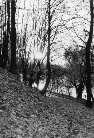 солнце и его отражение