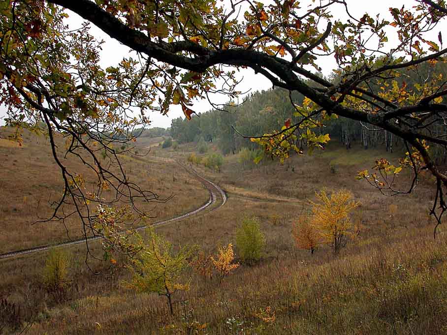 Дорога