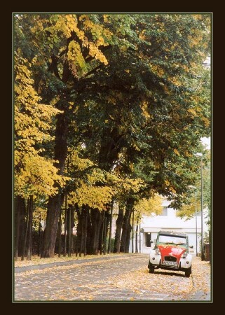 Lindenstrasse. Осень.