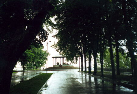 Без названия