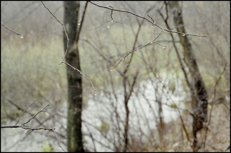 Природа плачет...