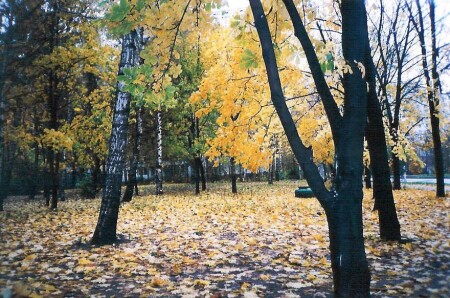 Цвет осени...