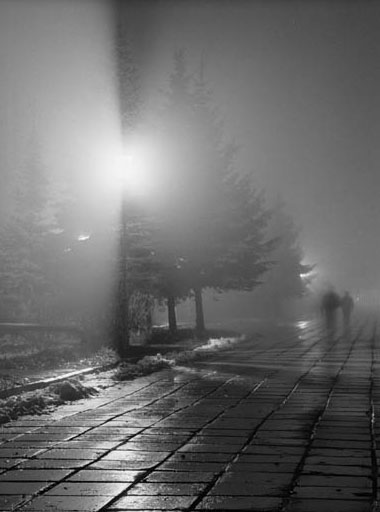 Вечерний туман