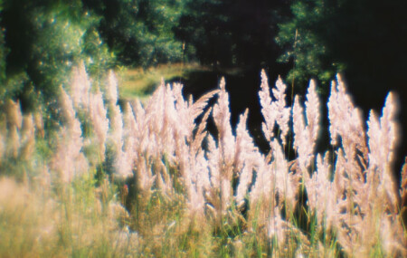 без названия