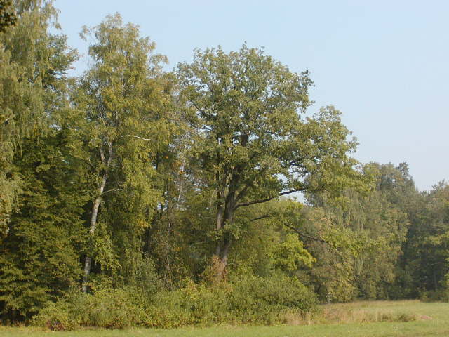 Красота2