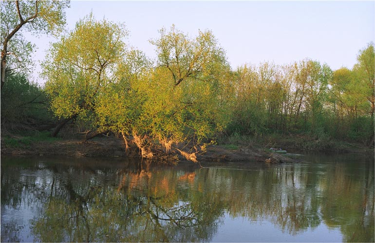 Майский вечер 2