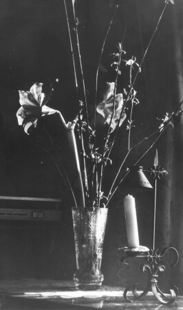 Светоконтуры