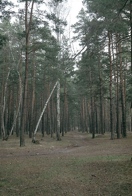 без названия