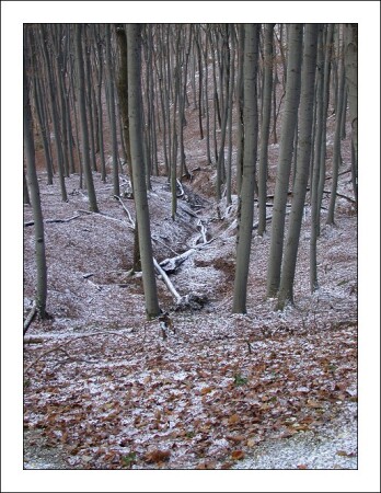 Первые заморозки