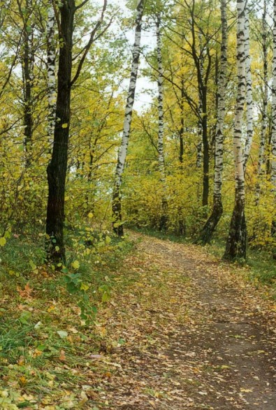 Ранняя осень#2