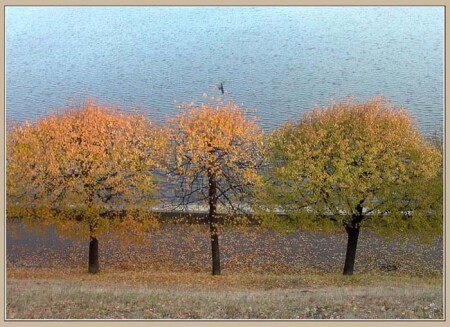 Три времени осени