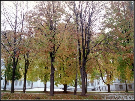 Первый снег